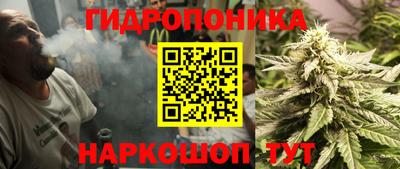 ПСИЛОЦИБИНОВЫЕ ГРИБЫ Можга