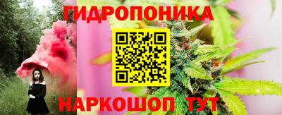 ПСИЛОЦИБИНОВЫЕ ГРИБЫ Можга