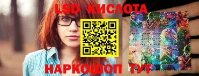 ПСИЛОЦИБИНОВЫЕ ГРИБЫ Можга