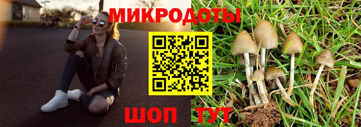 Галлюциногенные грибы MAGIC MUSHROOMS  Вход с VPN  Вичуга 