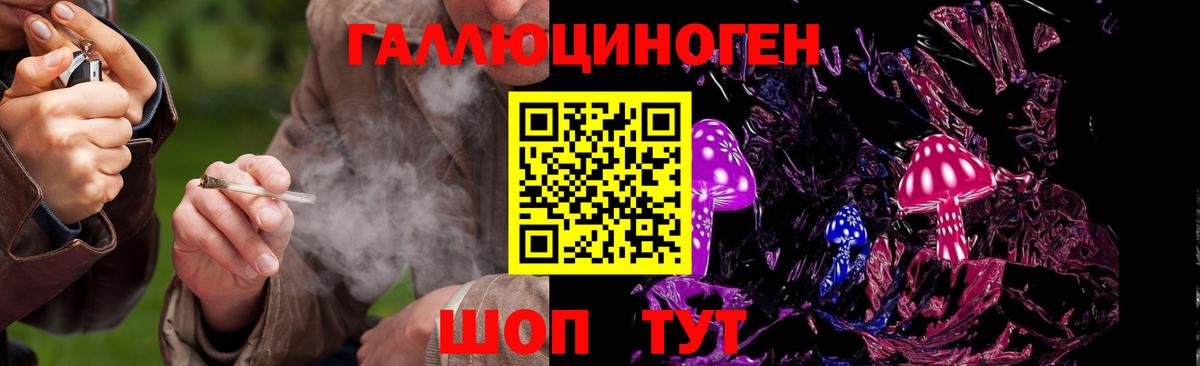 Псилоцибиновые грибы GOLDEN TEACHER Вичуга